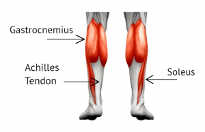 The only guide you need